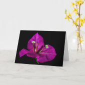 Elegante Lila Bougainvillea Karte (Gelbe Blume)