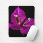 Elegante Lila Bougainvillea Mousepad (Mit Mouse)