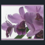 Elegante lila Cattleya Orchideen Geschenkpapier<br><div class="desc">Die Orchideen des Papas in der Blüte wieder. Lila Cattleya Orchideen-Geschenk-Verpackungs-Papier. Die schöne Form und die Komplexität der Blume und ihrer verführerischen Gerüche haben die Herzen von vielen gewonnen. Ursprüngliche Fotografie durch riverme*©2009.</div>