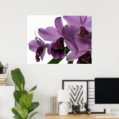Elegante Lila Cattleya Orchids Poster (Heimbüro)