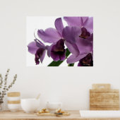 Elegante Lila Cattleya Orchids Poster (Küche)