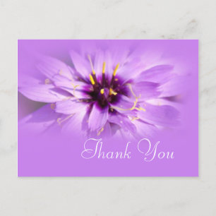 Elegante lila Gänseblümchen-Blume Dankeschön-Postk Postkarte