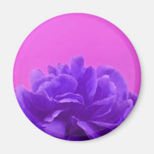 Elegante lila Himbeer-Blumen Magnet