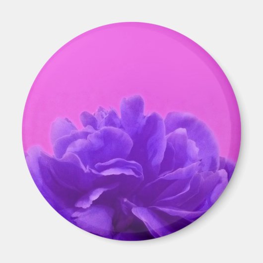 Elegante Lila Himbeere Magnet (Vorne)