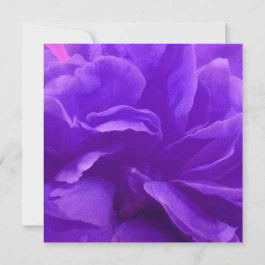 Elegante Lila Himbeere Save the Date floral Einladung (Rückseite)