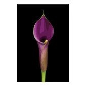 Elegante Lila Lily Illustration Poster (Vorderseite)