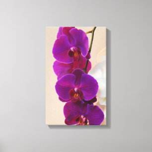 Elegante, Lila Orchideen-Wrapped Canvas Leinwanddruck