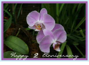 Zweiter Hochzeitstag Karten Zazzle De