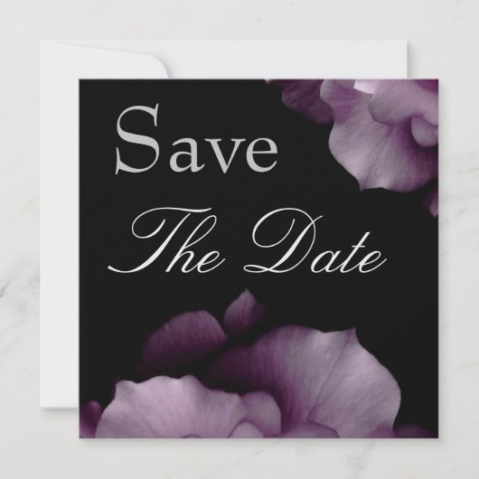 Elegante LILA Petals Wedding Save the Date Invite (Vorderseite)