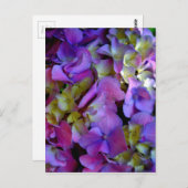 Elegante, lila, rosa Magenta Blumendörfchen Postkarte (Vorne/Hinten)