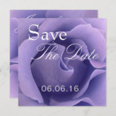 Elegante LILA Rose Hochzeit Speichern Sie das Datu Save The Date (Vorne/Hinten)