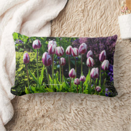 Elegante Lila Tulpen Lendenkissen