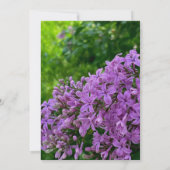 Elegante Lilaks lila Lavendelblütenhochzeit Einladung (Rückseite)