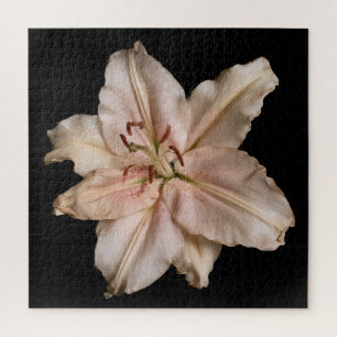 Elegante Lily-Kollektion auf Schwarz Puzzle