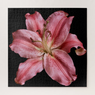 Elegante Lily-Kollektion auf Schwarz Puzzle