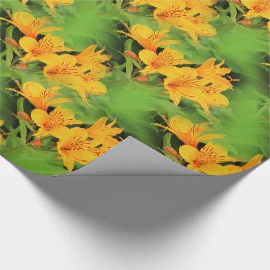Elegante Lily of the Incas Alstroemerias Geschenkpapier (Ecke)