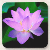 Elegante Lotusblume Getränkeuntersetzer (Vorderseite)