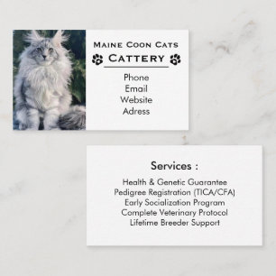 Elegante Maine Coon Katzenzucht & Professioneller  Visitenkarte
