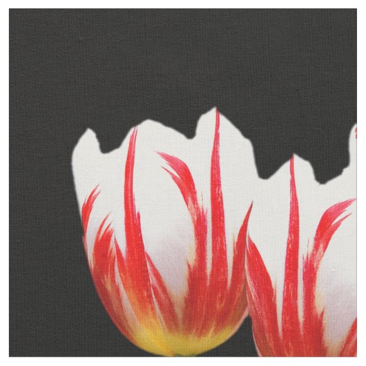 Elegante Maple Leaf Stoff (Nahaufnahme)