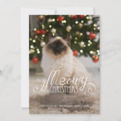 Elegante Meowy Weihnachts Foto Cat Pet Holiday Car Einladung (Vorderseite)