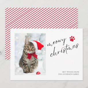 Elegante Meowy Weihnachtskatze Foto Weihnachten 