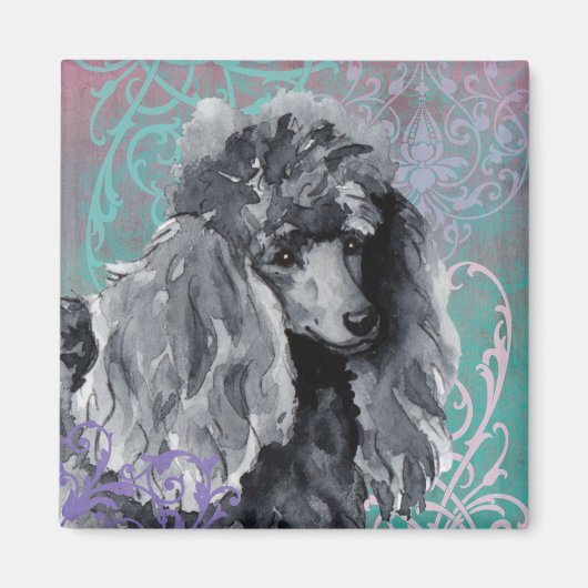 Elegante Miniatur Poodle Magnet (Vorne)