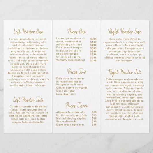 Elegante Modern Simple Salon Gold Trifold Broschür (Rückseite)