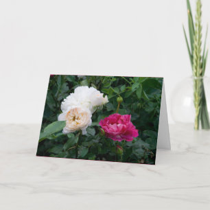 Elegante moderne cremefarbene und rosa Rosen Blume Karte