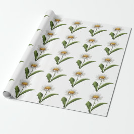 Elegante moderne Gänseblümchen-Blume Geschenkpapier
