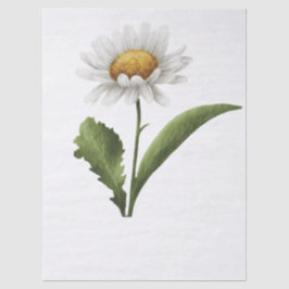 Elegante moderne Gänseblümchen-Blume Seidenpapier