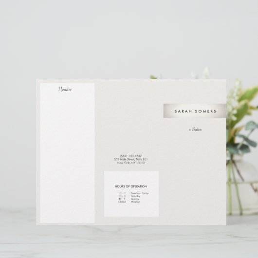 Elegante Moderne IMITATE Silver Striping Salon Bro (Stehend Vorderseite)