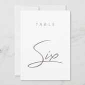 Elegante moderne kalligraphische Hochzeitsszenarie (Rückseite)