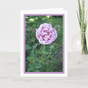 Elegante Moderne Lila Rose Blume Foto Beileid Karte