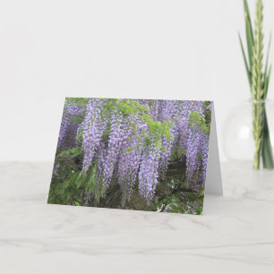 Elegante moderne lila Wisterienblüten gute Besseru Karte