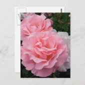 Elegante Moderne Rosen Postkarte (Vorne/Hinten)