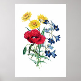 Elegante Moderne Vintage Wildblumen Poppy Daisy Poster