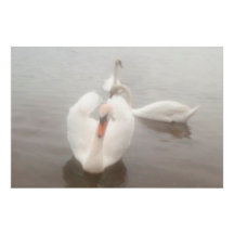 Elegante Moderne Wasserfarben Kunst, Dichtung und 