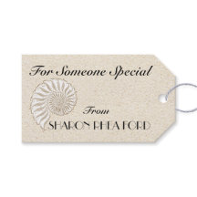 Elegante Muschel Tag