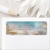 Elegante Muscheln (Insitu)