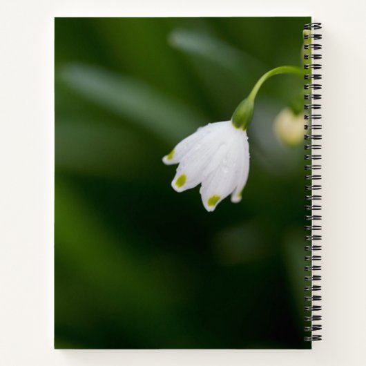Elegante neue Art, ein Notebook mit weißer Blume z Notizblock (Rückseite)