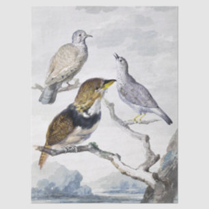 Elegante neutrale Ton Vögel auf Ast Kunst Seidenpapier