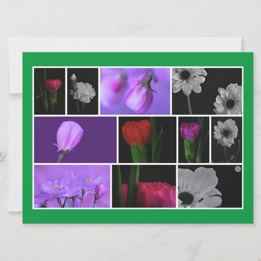Elegante, Niedliche Blume FotoCollage auf Kelly Gr (Vorderseite)