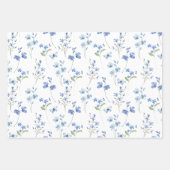 Elegante Niedliche Wildblumen und Schmetterlinge Geschenkpapier Set (Vorderseite)