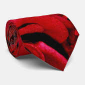 Elegante, noble Anlass-Krawatten Krawatte (Gerollt)