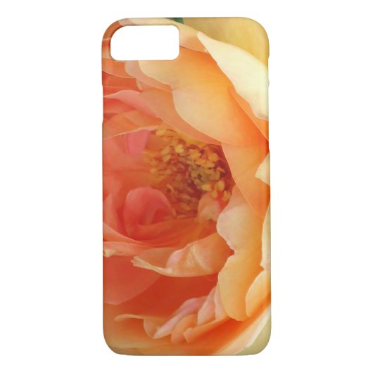 Elegante Orange Blush Rose Case-Mate iPhone Hülle (Rückseite)