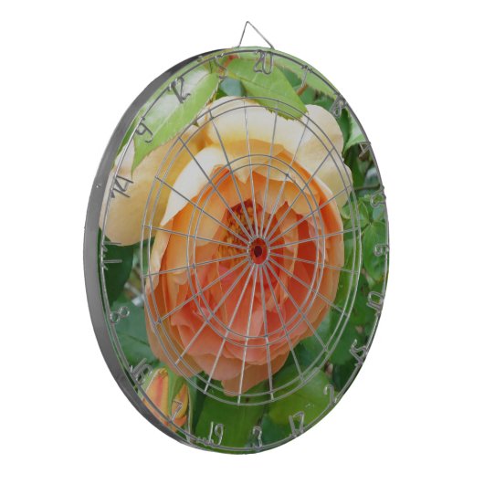 Elegante Orange Blush Rose Dartscheibe (Vorderseite Links)