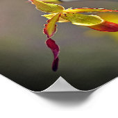 Elegante orange-orchide botanische Blume Poster (Ecke)