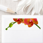 Elegante Orange Orchids Custom Blank Labels (Insitu)