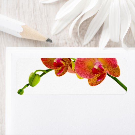 Elegante Orange Orchids Custom Blank Labels (Insitu)