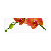 Elegante Orange Orchids Custom Blank Labels (Vorne)
